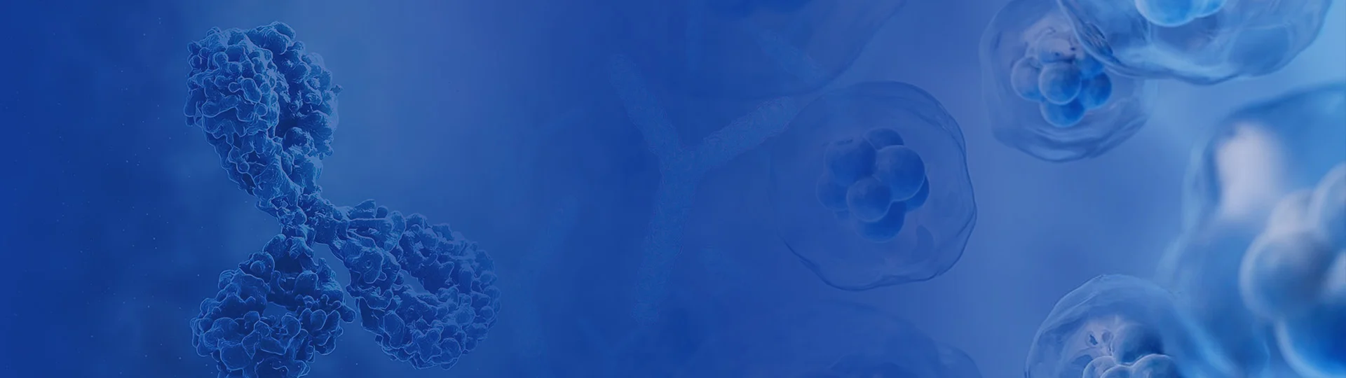 Polyclonal Antibody Services